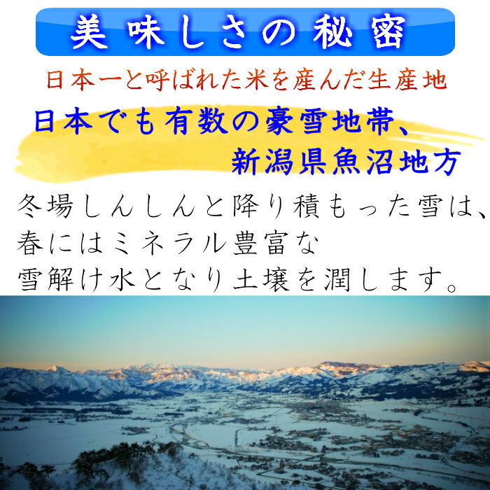 令和7年産雪温精法 氷温熟成魚沼産こしひかり　4kg（2kg×2袋）魚沼産コシヒカリ　魚沼新潟県魚沼　吉兆楽　【メーカー直送品】【送料無料】【単品配送】【同梱不可】