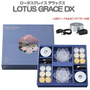 LOTUS GRACE DX(デラックス)2個セットロータスグレイス