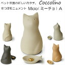 Coccolino RbR[m~[`A(L^)@茳{@