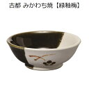 古都(こと)みかわち焼 茶湯器【緑釉梅】