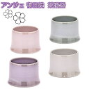 ANGERS(アンジェ) 有田焼 茶湯器 4色から選べます