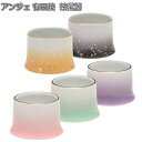 ANGERS(アンジェ) 有田焼 茶湯器 5色から選べます