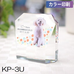 クリスタル位牌 KP-3U 小【カラー印刷】ペットメモリアル◆6テンプレートから選ぶ！