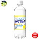 【2ケース 送料無料】 サンガリア 伊賀の天然水 強炭酸水 レモン 500ml ペットボトル ×24本 2ケース 48本 サンガリア