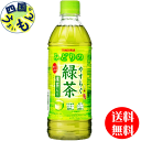 【送料無料】 サンガリア やすらぐ抹茶入り緑茶 500mlペットボトル×24本入 1ケース