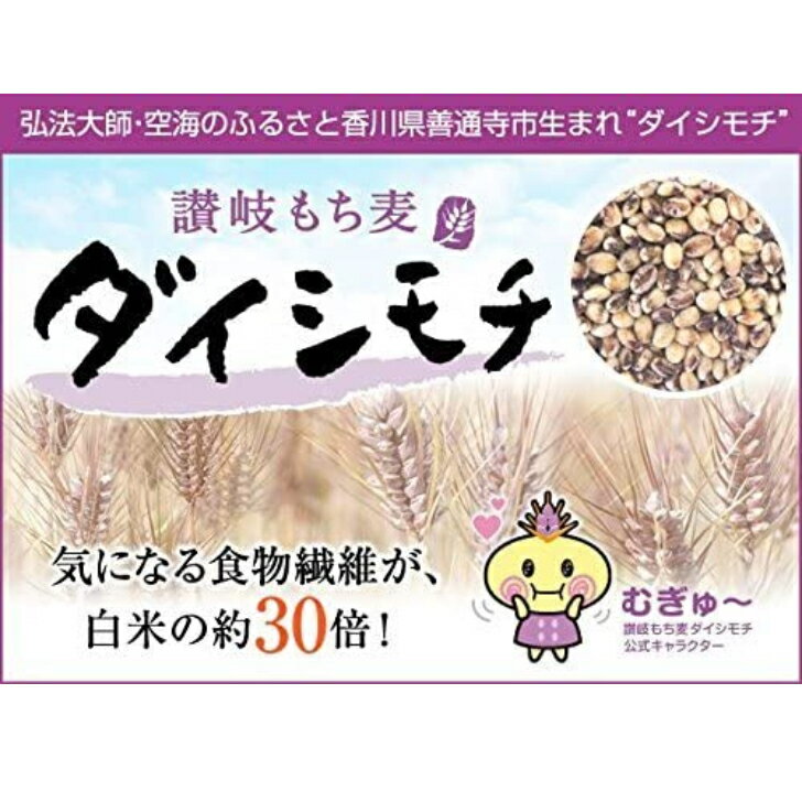国産 もち麦 讃岐もち麦 ダイシモチ 20kg 1袋