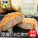 【送料無料】島原かまぼこ　冷凍 じゃこカツ　（1袋20個入）　4袋入　80個　業務用