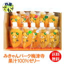 【送料無料】 みきゃんパーク梅津寺 愛媛柑橘 飲むみかんゼリー 10本セット×170g 1箱 温州みかん 伊予柑 デコポン じゃばら 美生柑 甘夏