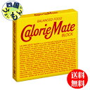 大塚製薬 カロリーメイト ブロック チョコ味(4本入り×30個)1ケース