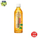 【2ケース送料無料】 キリン ヘルシア緑茶 うまみ贅沢仕立て【特定保健用食品 特保】 500mlペットボトル×24本入 2ケース 48本