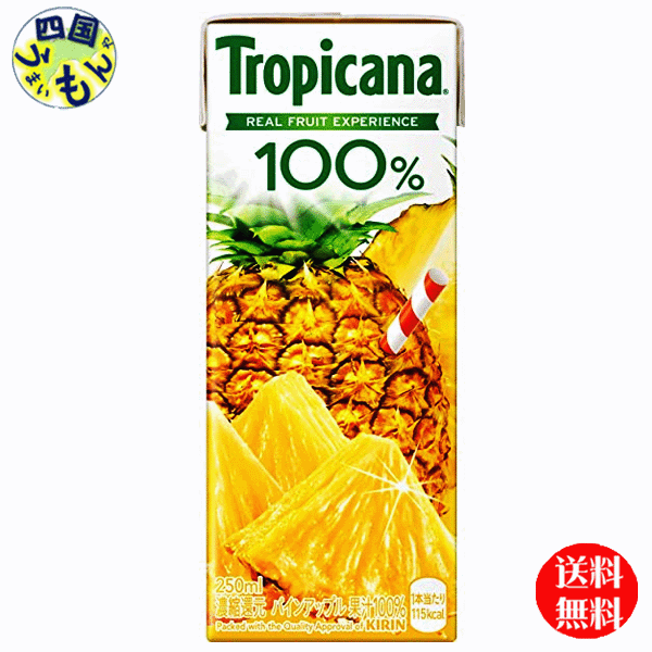 【送料無料】 キリン　トロピカーナ 100％ パインアップル 250ml紙パック×24本入 1ケースのサムネイル