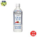 【送料無料】 キリン 世界のKitchenから ソルティライチ ペットボトル 500ml 2ケース 48本