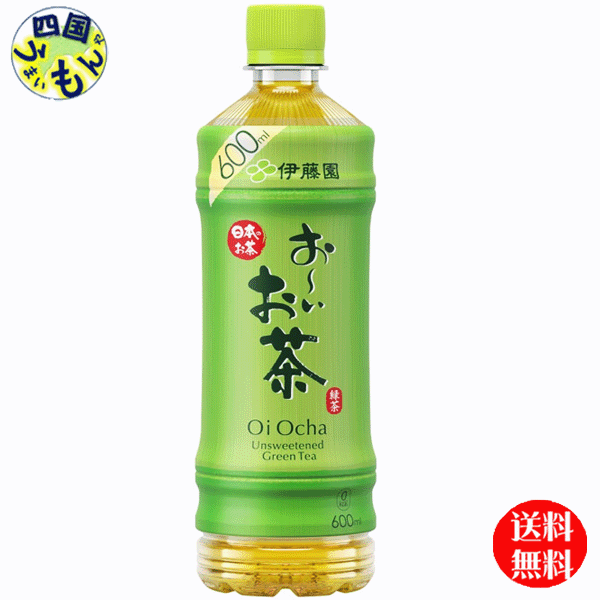 【送料無料】　伊藤園　 お～いお茶 　緑茶　600mlペットボトル×24本入 1ケース