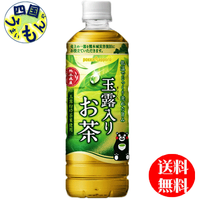 【送料無料】ポッカサッポロ　玉露入りお茶　600mlペットボトル×24本入1ケース