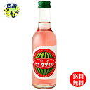 【送料無料】友桝飲料 熊本　すいかサイダー 245ml 瓶×24本入 1ケース　24本