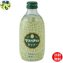 【2ケース送料無料】友桝飲料 マスクメロンサイダー 300ml瓶×24本入 2ケース 48本