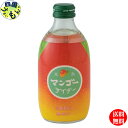 【2ケース送料無料】友桝飲料 完熟マンゴーサイダー 300ml瓶×24本入 2ケース 48本