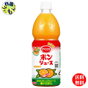 【2ケース送料無料】 えひめ飲料 POM ポンジュース 800mlx6本 2ケース 12本