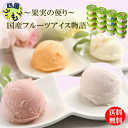 果実の便り 国産フルーツアイス物語 70ml×12個 1セット 【冷凍】 フルーツアイス K&K6027159【送料無料】 クリスマススイーツ