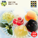 【送料無料】 銀座千疋屋 銀座ゼリー 9個 1セット K&K