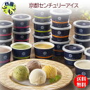 【送料無料】【冷凍】 京都センチュリーアイス (AH-CA10) 1セットアイス アイスクリーム