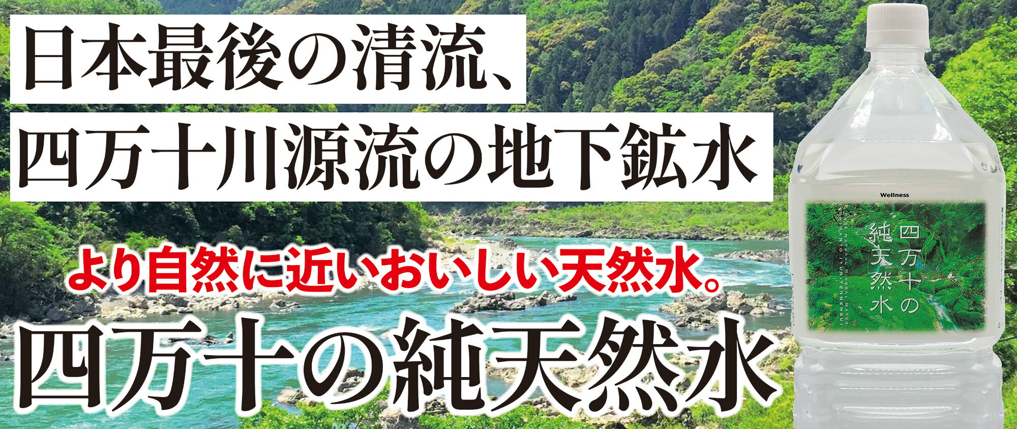 サンプル画像2