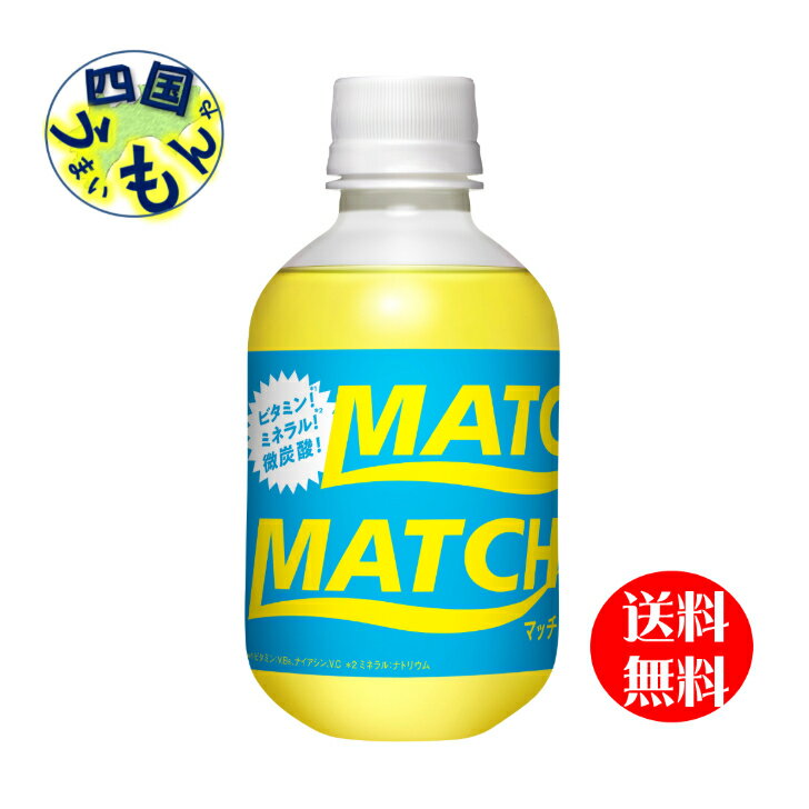 【2ケース送料無料】大塚食品 ビタミン炭酸　マッチ　MATCH 　270mlペットボトル×24本　2ケース