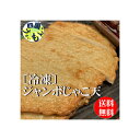 【送料無料】 島原かまぼこ　冷凍　ジャンボじゃこ天　約68g/枚　(10枚)4袋入　1個 計40枚　業務用