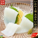 【送料無料】 いかの王様アオリイカ あおりいか糸つくり 1Kg(500g×2パック) 安岐水産 海鮮 【四国物産】