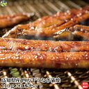 【送料無料】四万十うなぎ蒲焼 110g×3尾 タレ付き 青のり粉付き 真空パック 蒲焼き うなぎ 四万十うなぎ 高知県 冷凍クール便 【四国物産】(4)