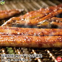 【送料無料】四万十うなぎ蒲焼 110g×10尾 タレ付き 真空パック 蒲焼き うなぎ 四万十うなぎ 高知県 冷凍クール便 【四国物産】
