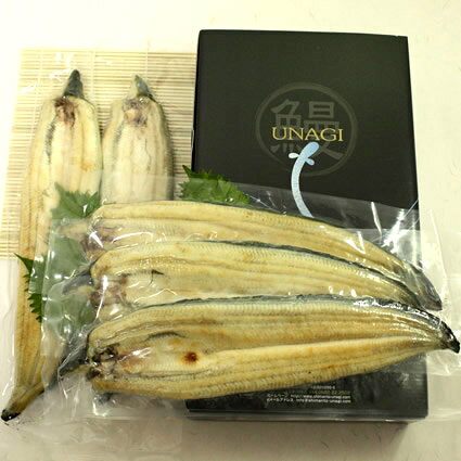 【送料無料】四万十うなぎ白焼 120g×5尾 タレ付き 真空パック 白焼き うなぎ 四万...