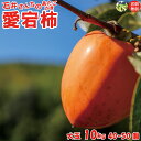 【早割り200円OFF!】【予約受付開始!】石井さんちの 香川県産 愛宕柿(渋柿)大玉 10kg 1箱 40〜50個前後 T字枝付き 初心者でも安心簡単な干柿・合わせ柿作り方付き 【*農作物ですので期間限定です。 】