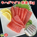キハダマグロ 赤身 1kg×1セット キハダマグロ 海鮮丼 海鮮 業務用 赤身 まぐろ 鮪 マグロ 土佐洋