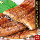 高知県産 有頭うなぎ 大判サイズ うなぎ ウナギ 鰻 200〜220g× 2尾 山椒付き蒲焼のタレ10m 土佐洋