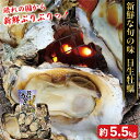 【非公開コード無】新鮮ぷりぷり!岡山県日生直送 半缶入りカラ付き牡蠣 約5.5kg ×1セット 殻付き牡蠣 カキ 海産物 魚介類 海鮮 BBQ かき 国産