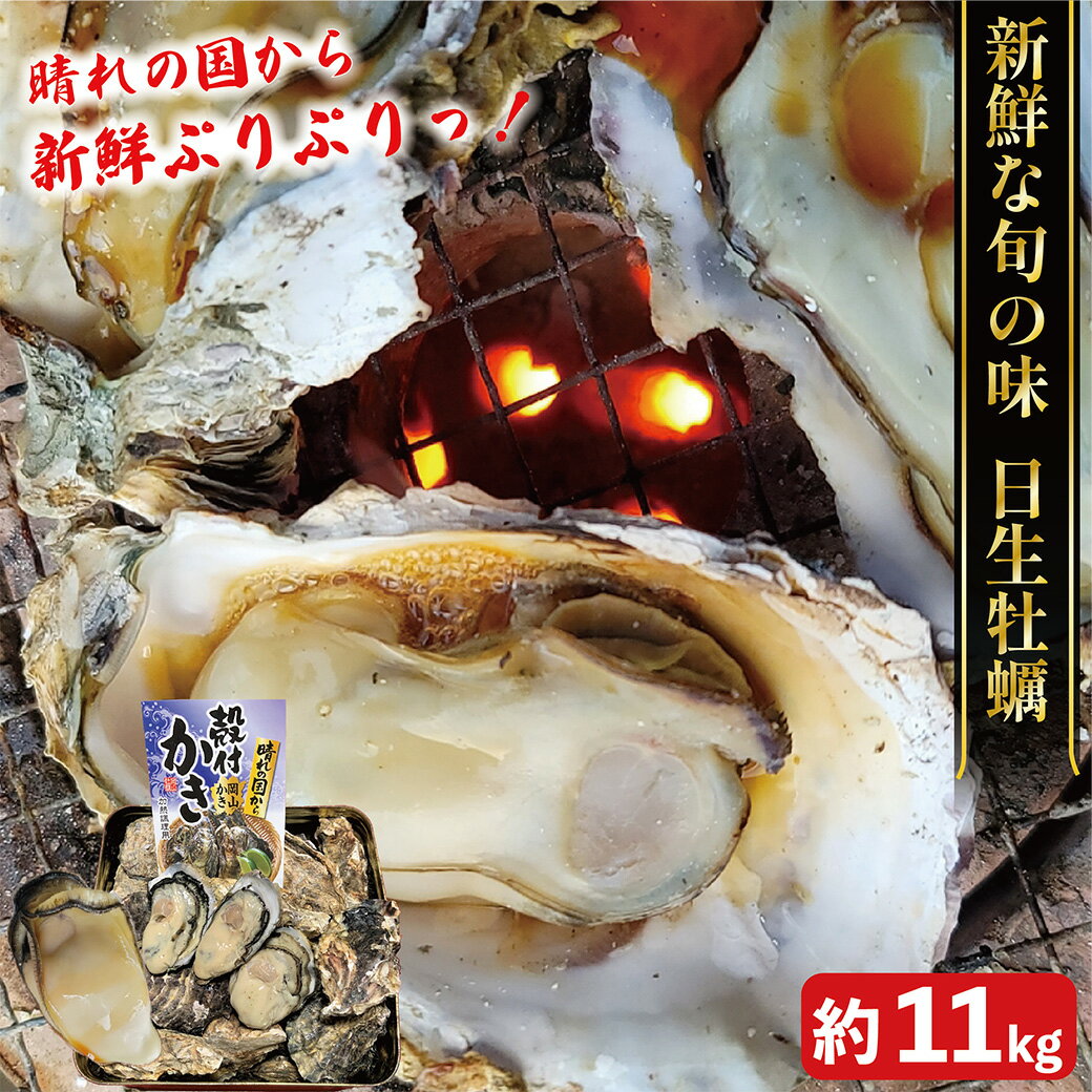 【非公開コード無】新鮮ぷりぷり!岡山県日生直送 一斗缶入りカラ付き牡蠣 約11kg ×1セット 殻付き牡蠣 カキ 海産物 魚介類 海鮮 BBQ かき 国産
