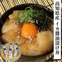 イカの醤油漬け丼 600g (60g×10P)×1セット アカイカ 漬け丼 海鮮丼 海鮮 イカ いか 小分け 土佐洋(4)