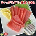 キハダマグロ 赤身 500g×1セット キハダマグロ 海鮮丼 海鮮 業務用 赤身 まぐろ 鮪 マグロ 土佐洋(4)