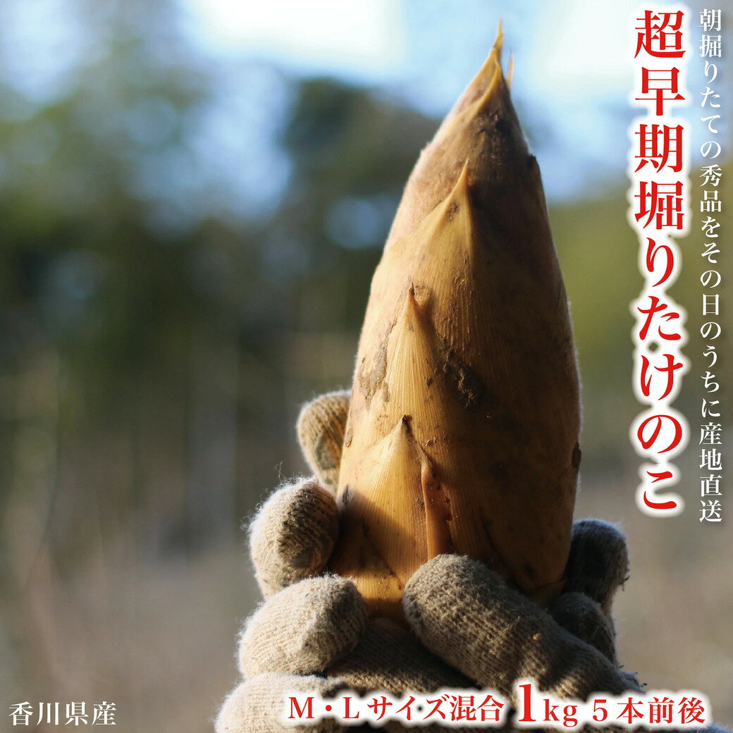 ��300��OFF�����ݥ�� �����Τ� Ķ��� �а椵����� ����� �����Τ� M��L���������� 1kg 1Ȣ 5������ �����Υ� �ݤλ� � �������Τ� ��...