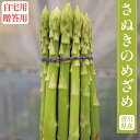 さぬきのめざめ 香川県産 アスパラガス アスパラ ミニトマト トマト 自宅用 贈答用 ギフト プレゼント 野菜ギフト はなまる農園 600g 1kg