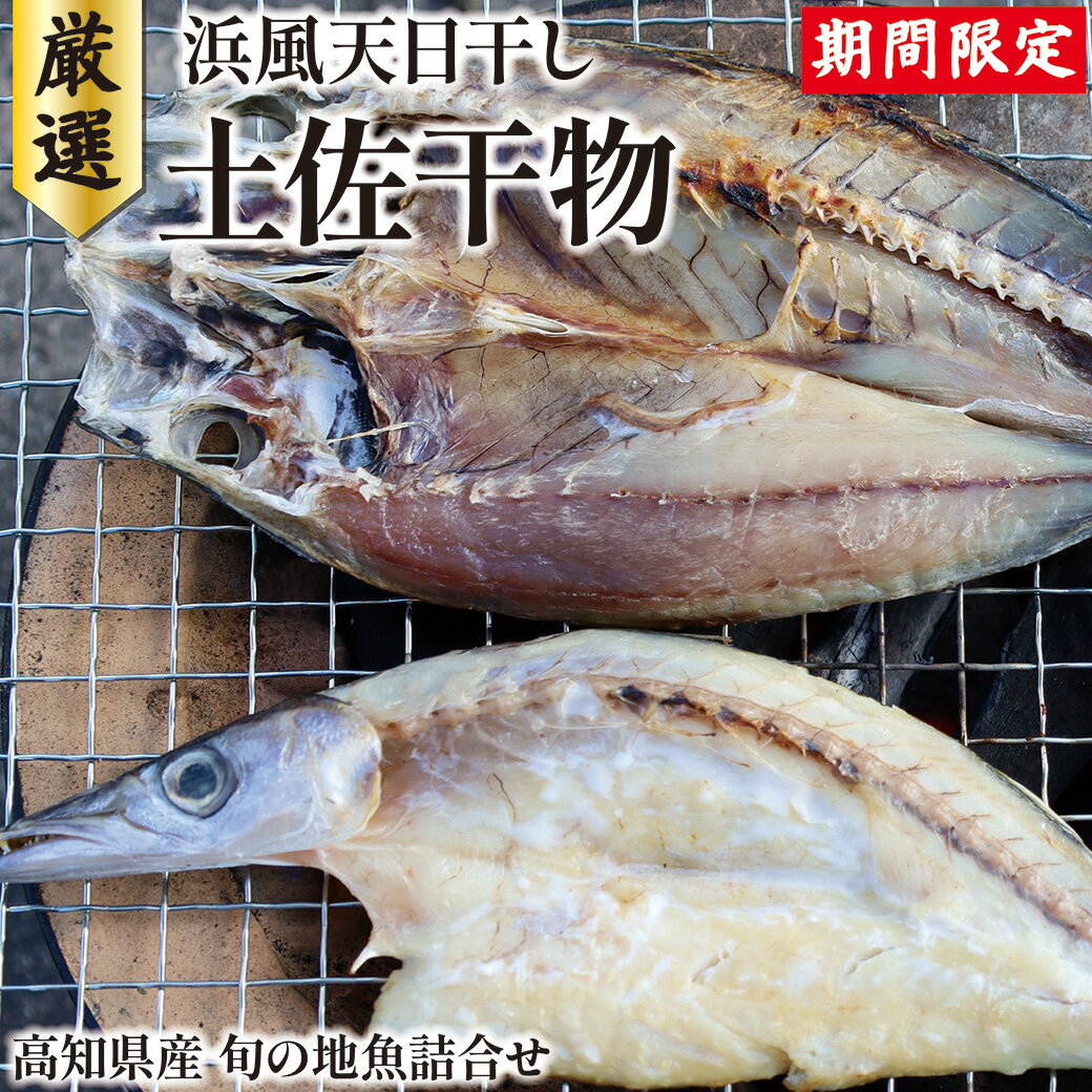 【厳選・大量生産不可！】 旬の地魚 土佐干物詰め合わせセット 旬 地魚 詰め合わせセット 干物 ひもの 干物セット 最高の干物 浜風天日干し 手作り ギフト ギフトセット お取り寄せ 詰め合わせ カマス アジ アオハタ アオリイカ ボウゼ 高知 株式会社マルキョウ