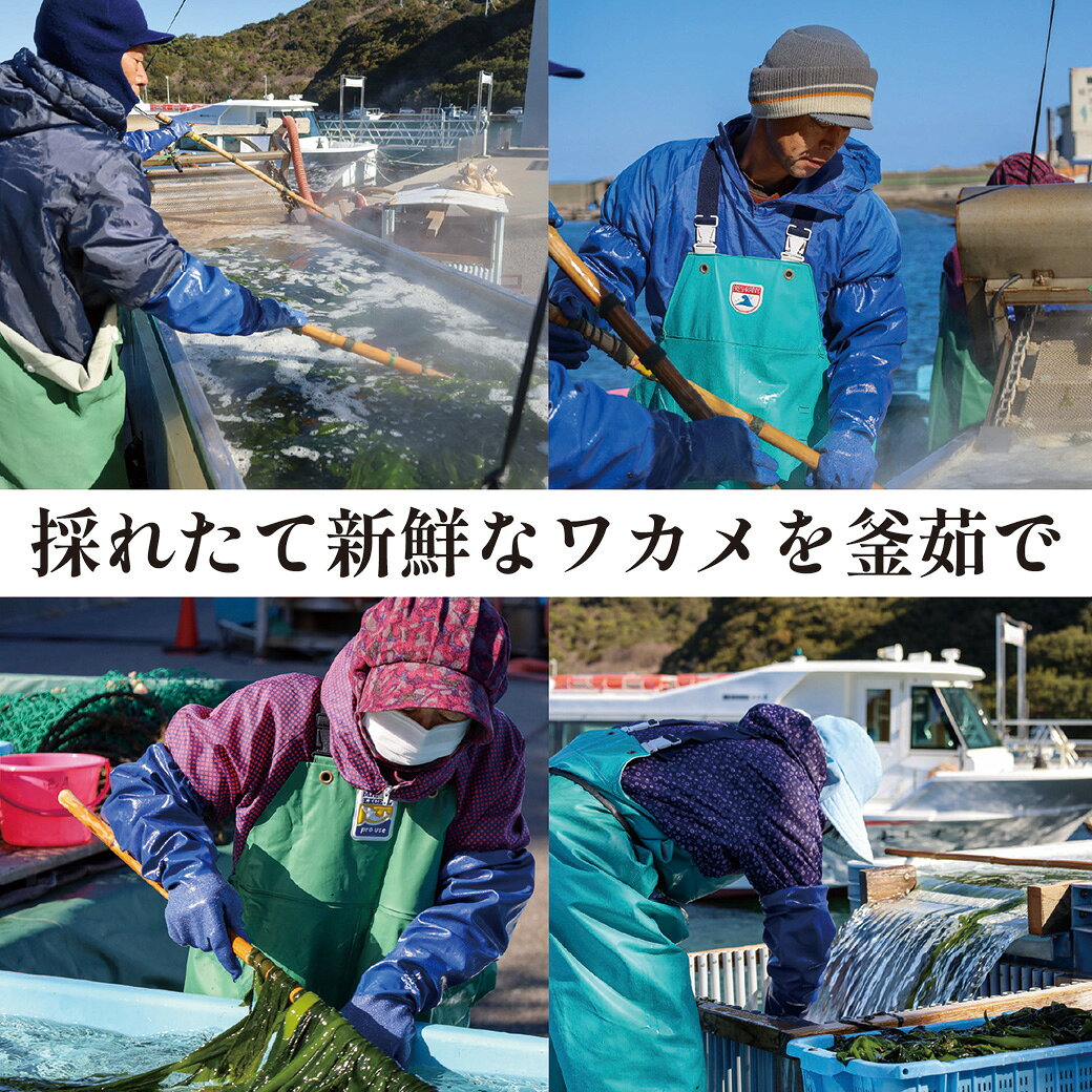 【数量限定】【送料無料】本場鳴門若布製造元　 漁師　西上和也 鳴門産 生わかめ 4...