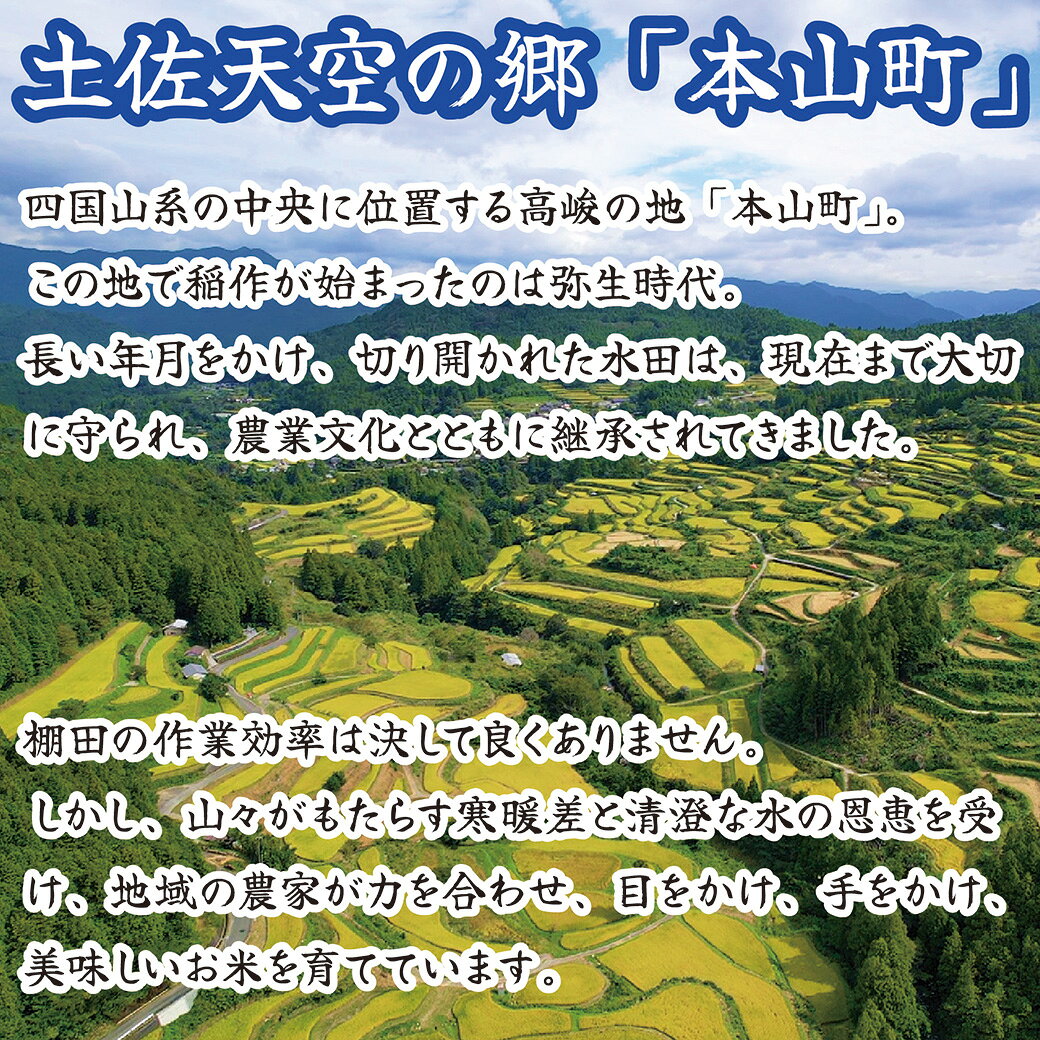 【日本一2度受賞！】 選べる にこまる ヒノヒカリ 1kg 2kg 令和7年産 高知県産 お...