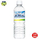 【 送料無料】 ダイドー 日本のおいしい天然水(500mlペットボトル×24本入)1ケース(4)