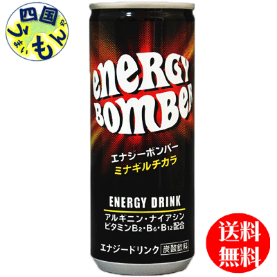 【3ケース送料無料】 宝積飲料 エナジーボンバー　(エナジードリンク）250g缶×30本入 3ケース