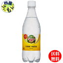 名称 【2ケースセット】カナダドライ トニックウォーター PET 500ml 原材料名 果糖ぶどう糖液糖、炭酸、酸味料、香料 内容量 500mlPET 入数 24 賞味期限 メーカー製造日より5ヶ月 保存方法 高温・直射日光をさけてください。 製造者 コカ・コーラ カスタマーマーケティング株式会社【2ケースセット】カナダドライ トニックウォーター PET 500ml　48本 【メーカー直送全国送料無料】 ほろ苦さがあり、ほのかなシトラス風味でストレートでもスピリッツなどのお酒と合わせても飲みやすい味わい　　　カナダドライ トニックウォーター　トニック 8