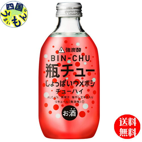 【2ケース送料無料】合同　瓶チュー　 しょっぱいウメボシ　300ml×24本 2ケース　48本　