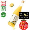 【通常27,980円→スーパーSALE限定24,000円】★エントリーでポイント5倍 10/1 9:59まで★青切り果汁 720ml×12本 (沖縄県産 青切りシークワーサー 果汁100%ジュース) シークワーサー ジュース シークアーサー 果実 100% 送料無料