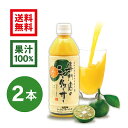 【2022年8月度月間優良ショップ受賞】専門店のシークヮーサー 500ml×2本 ［1本あたり1,210円］(沖縄県産シークワーサー 無添加 果汁100%ジュース)シークワーサー ジュース　シークワーサー　シークアーサー　果実　100%　送料無料